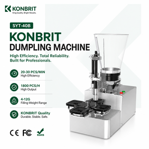 Commercial Wonton Machine for Goldfish Wonton Wantan Hoanh Thanh <strong>Momo</strong> and Asian Food Factory - Product Image 1