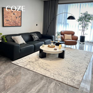 Nouveau design 2026 - Tapis imperméable simple et haut de gamme pour salon et chambre à coucher - Product Image 3