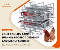 Cage de bien-être pour poulettes avec contrôle automatique du climat et abreuvement, type H, galvanisée à chaud, pour l'élevage en batterie de poussins d'un jour