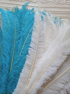 Fabricante de plumas de avestruz de 18-26 pulgadas personalizadas de alta calidad de fábrica <span class=keywords><strong>Nandu</strong></span> de avestruz para decoración de fiestas - Product Image 5