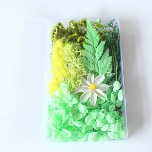 Vente en gros Mini fleurs séchées mélangées Eucalyptus naturel multicolore Matériaux séchés en vrac Petit emballage déco - Product Image 5