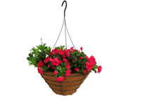 Panier suspendu en fil de ciment Carol Simple, support en fil droit, doublure en fibre de coco, style américain, pour plantes d'extérieur/intérieur