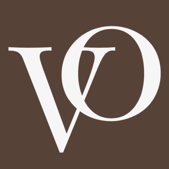 Shanghai VO Trading Co., Ltd. logo