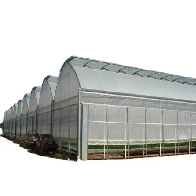 10 tahun masa pakai multi-rentang pertanian digunakan rumah kaca dasar aluminium dengan 200 mikron plastik rumah kaca