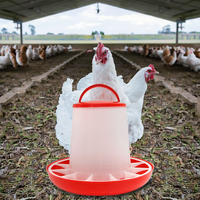 Hainiu HT-03 Nouveau Mangeoire Automatique PP pour Poulets avec Garantie, Bac d'Alimentation pour Élevage Avicole, Rouge, Longue Durée de Vie