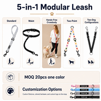 Ensemble de laisse modulaire 5-en-1 avec logo personnalisé, laisse élastique pour chien, crochet pivotant à 360°, collier martingale, ensemble robuste pour la marche et la course