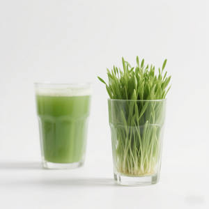 Органический порошок сока травы пшеницы экстракт травы пшеницы порошок - Product Image 4