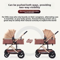 Poussette pliable portable 3 en 1 pour bébé de 0 à 3 ans, réglage à trois vitesses, cadre en acier inoxydable, capacité de charge de 20 kg