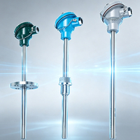 Sonde de température industrielle de type K PT100 pour la mesure des hautes températures
