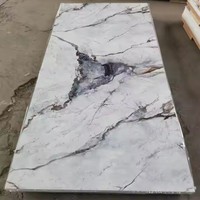 Revêtement UV floral moderne résistant au feu Panneau mural alternatif en PVC pour l'intérieur et l'extérieur des salles de bain à usage décoratif