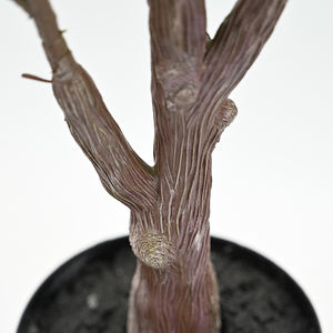 Arbre Artificiel en Caoutchouc de 95cm de Haut, Faux Fiddle Leaf Fig Plant, <span class=keywords><strong>Pot</strong></span> de Pépinière pour <span class=keywords><strong>Intérieur</strong></span> Extérieur Maison Bureau Décor - Product Image 3