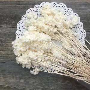 Flores artificiales preservadas, decoración para el hogar, boda, <span class=keywords><strong>Edelweiss</strong></span>, crisantemo - Product Image 4