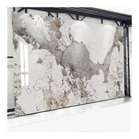 Longtemps Autre panneau PVC mur en marbre panneau mural en pvc/ceil/circl panneau mural en marbre pvc