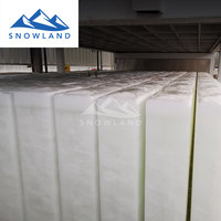 Machine de fabrication de blocs de glace de 10 tonnes par jour, 50 kg, à refroidissement direct industriel, avec compresseur, pompe à eau et engrenages, à économie d'énergie