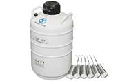 Cylindre d'azote liquide YDS de petite capacité de haute qualité, réservoir de conteneur LN2, récipient sous pression de 10 litres, aluminium aéronautique