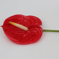 Bahan Bunga Hias Anthurium Cocok untuk Berbagai Festival, Bola Bunga Merah Burgundy Putih untuk Dekorasi Tengah Meja