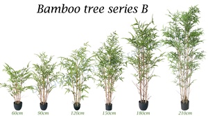 <span class=keywords><strong>Plante</strong></span> de <span class=keywords><strong>bambou</strong></span> <span class=keywords><strong>artificielle</strong></span> <span class=keywords><strong>pas</strong></span> chère Bossion pour la décoration de table à la maison, mini arbre en faux <span class=keywords><strong>bambou</strong></span> - Product Image 4