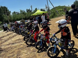 儿童赛车电动越野车 36V 2速 铝合金车架 全避震 液压碟刹 653 迷你电动自行车 美国 OWAYEBIKE - Product Image 5