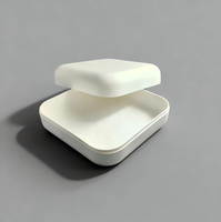 Boîte cadeau jetable biodégradable en bagasse, en forme d'œuf, blanc naturel, non toxique, pour l'emballage de jouets