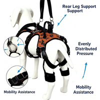 Harnais pour animaux de compagnie en nylon respirant, réglable et confortable, avec soutien de soulagement de la pression, style simple et motif imprimé