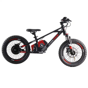 Vélo <span class=keywords><strong>électrique</strong></span> de 12 <span class=keywords><strong>pouces</strong></span> <span class=keywords><strong>16</strong></span> <span class=keywords><strong>pouces</strong></span> pour enfants, vélo d'équilibre <span class=keywords><strong>électrique</strong></span> à moteur sans balais de 350W pour enfants - Product Image 4