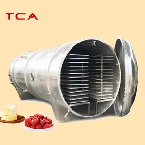 Lyophilizer For Fruit And Vegetable Lyophilization Machine Vacuum Freeze Drying Equipment Prices