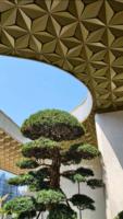 Panneau de plafond en métal moderne Prima avec construction en aluminium pour les applications de plafond des bâtiments publics
