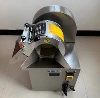 Commerciële SH30 Automatische Multifunctionele Fruit- & Groentesnijder Snijmachine Aardappelsnijder Roestvrij Staal