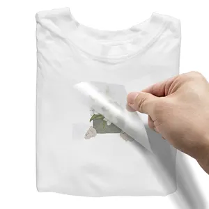 定制传热标签数字丝网印刷塑料溶胶，可压制t恤的传热设计