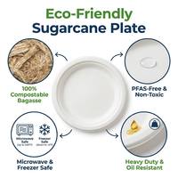 Assiettes en canne à sucre en gros, écologiques, jetables en bagasse pour fêtes, restaurants et plats à emporter