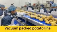 Industriële aardappel schillijn, productielijn voor frieten, aardappelwasmachine