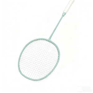 Ensemble <span class=keywords><strong>de</strong></span> raquettes <span class=keywords><strong>de</strong></span> badminton en alliage <span class=keywords><strong>de</strong></span> fer pour débutants, professionnel, durable, léger, revêtement lumineux <span class=keywords><strong>de</strong></span> haute qualité - Product Image 6