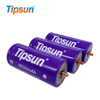 Cellules de batterie LiFePO4 Tipsun 32650/32700 6500mAh 3.2V avec bornes - 2000 cycles pour véhicules électriques et outils électriques