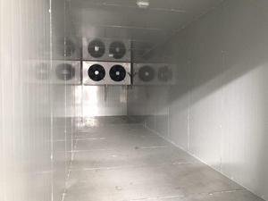 20ft Geprefabriceerde Container Koude Kamer Plug En Play Met Koeleenheid - Product Image 3