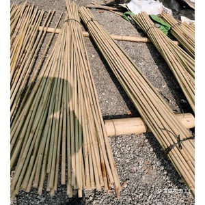 Varas de Bambú Chino Tonkin de Diámetro Pequeño, Anticorrosivas, para Uso Agrícola, Viveros, Jardines, Cercas, Astas de Banderas - Product Image 3