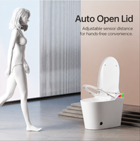 Toilette intelligente monobloc personnalisée avec réservoir intégré, chasse d'eau automatique et nettoyage bidet pour salle de bain de villa