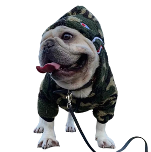 เสื้อโค้ทสุนัขพันธุ์ชเนาเซอร์แบบทันสมัย ผลิตจากโพลีเอสเตอร์บุใยสังเคราะห์ เป็นมิตรต่อสิ่งแวดล้อม ขายส่งจากโรงงาน เหมาะสำหรับฤดูใบไม้ผลิ ฤดูร้อน ฤดูใบไม้ร่วง และฤดูหนาว - Product Image 1