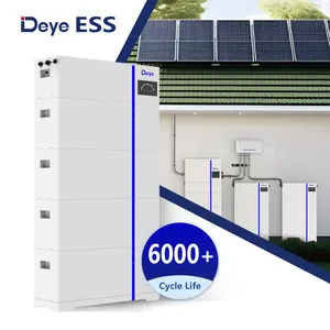 Deye Ess AI-W5.1-B 100ah Beste Batterij Opslagsysteem Voor Zonne-Energie Systemen Geval