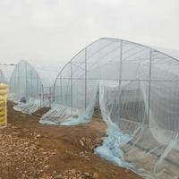 Grande serre agricole monocouche à simple travée, couverture de culture en film HDPE/PE, installation facile, marque Bafangle, Wuxi Chine