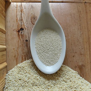 Chủng nấm men công nghiệp chịu nhiệt-Men khô hoạt động an toàn thực phẩm cho Ethanol năng suất cao, nhiên liệu sinh học và quá trình lên men - Product Image 3