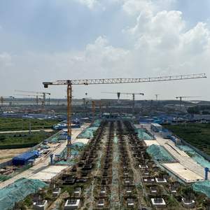 Grue à tour à plateau plat Dahan Qtz160-7013-8t, capacité de levage nominale de 8 tonnes, moment de levage de 160 tonnes. M Span 70m Hauteur maximale 200m pour nouvelle vente - Product Image 5