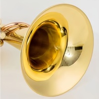 Alto Horn Eb Key 3 Upright Pistons Gold Lacquer Finish Brass Instruments with Stainless Steel Pistons for Beginners and Band
