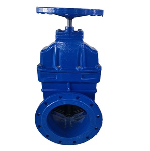 Válvula de Compuerta de Hierro Dúctil con Brida de Sellado Suave Bs5163 - Product Image 3