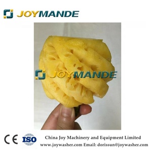 Haute Efficacité Petite Machine À Éplucher L'ananas - Product Image 2