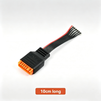 Câble d'extension d'équilibrage pour modèle RC 10cm 20cm 30cm 50cm JST-XH 2-6S compatible avec batterie LiPo 8S pour drone FPV Pièces RC