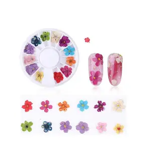 Nail Art 3D Dried Flowers Sticker Five Petal Flower Colorful Natural Real Dry Flower Nail Decal For Nail Art Supplies