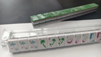 Jeu de Mahjong Palm Tree avec 160 tuiles en acrylique, motif parasol et art de bord de piscine, avec sac de rangement pour débutants