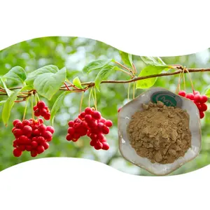 Organic Schisandra Berry Extract Schisandra Chinensis Extract Schisandra Extract