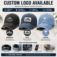 Casquettes de baseball vintage en coton délavé personnalisées, visière incurvée, logo personnalisé, chapeau pour événements d'entreprise et d'équipe