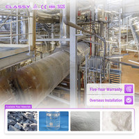 Ligne de production d'engrais au sulfate de zinc de qualité supérieure, machine de granulation, fabrication de monohydrate, usine de transformation agricole